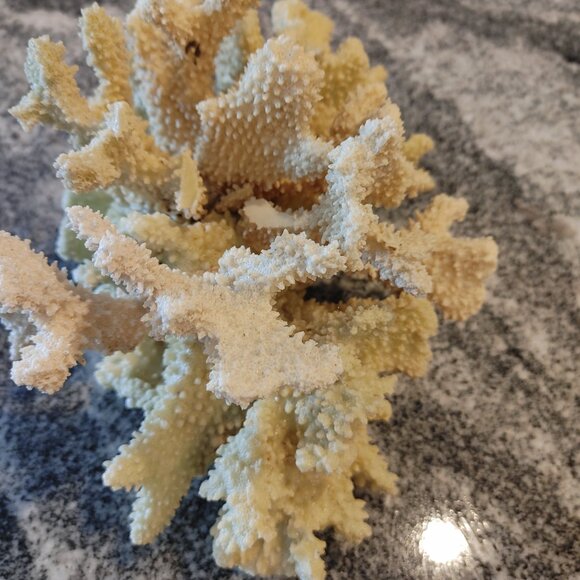 CORAL DECORATION - Picture 5 of 7